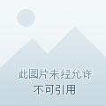 读书成神